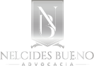 Nelcides Bueno